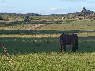 Venta de Casa de Campo en San Francisco de las Sierras - Lavalleja - Financiación a convenir