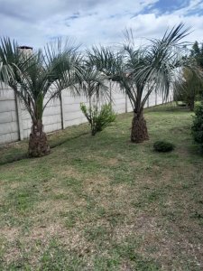 Casa en La Coronilla - La Coronilla