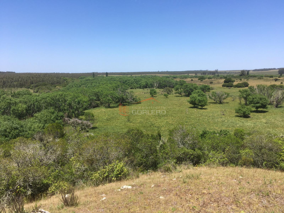Pueblo Eden - GoPunta - Portal Inmobiliario de Punta del Este - Maldonado