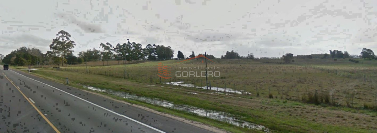 Zona Rural - GoPunta - Portal Inmobiliario de Punta del Este - Maldonado