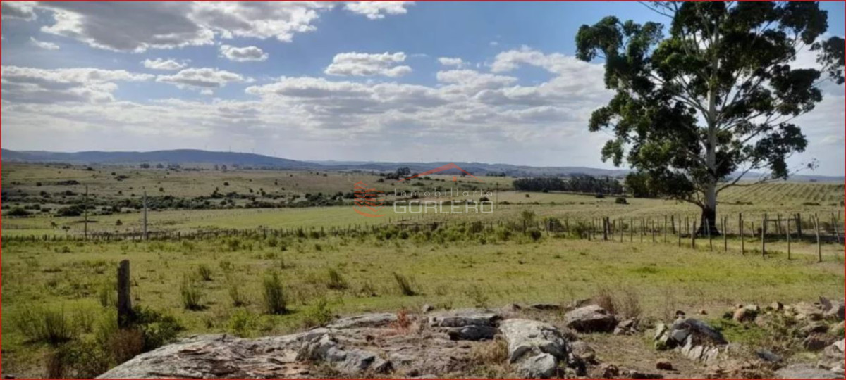 Zona Rural - GoPunta - Portal Inmobiliario de Punta del Este - Maldonado
