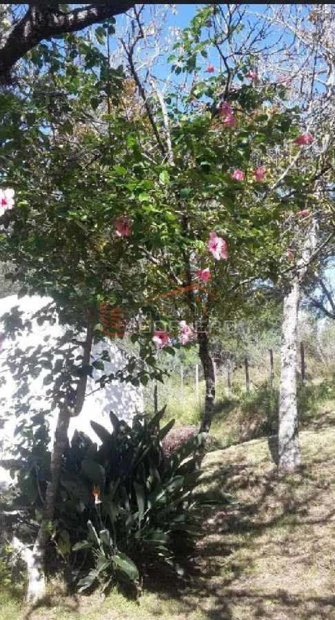 Propiedad - GoPunta - Portal Inmobiliario de Punta del Este - Maldonado