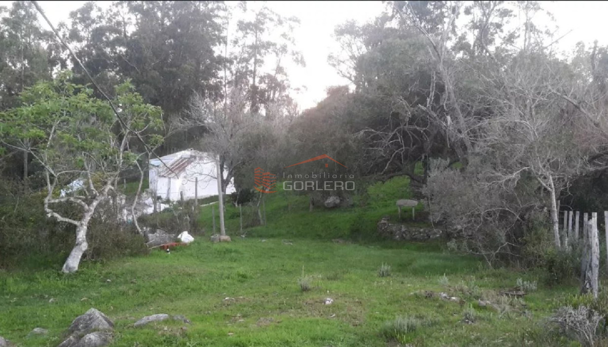 Propiedad - GoPunta - Portal Inmobiliario de Punta del Este - Maldonado