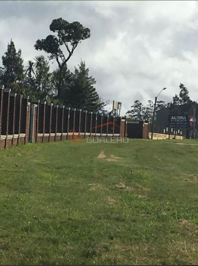 Ruta 39 - GoPunta - Portal Inmobiliario de Punta del Este - Maldonado