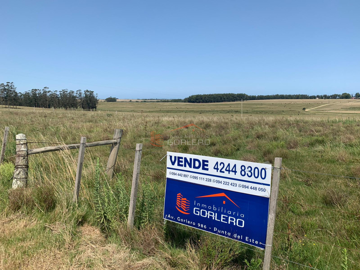Zona Rural - GoPunta - Portal Inmobiliario de Punta del Este - Maldonado