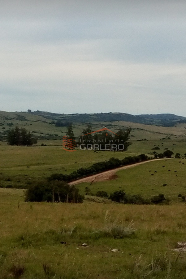 Pueblo Eden - GoPunta - Portal Inmobiliario de Punta del Este - Maldonado