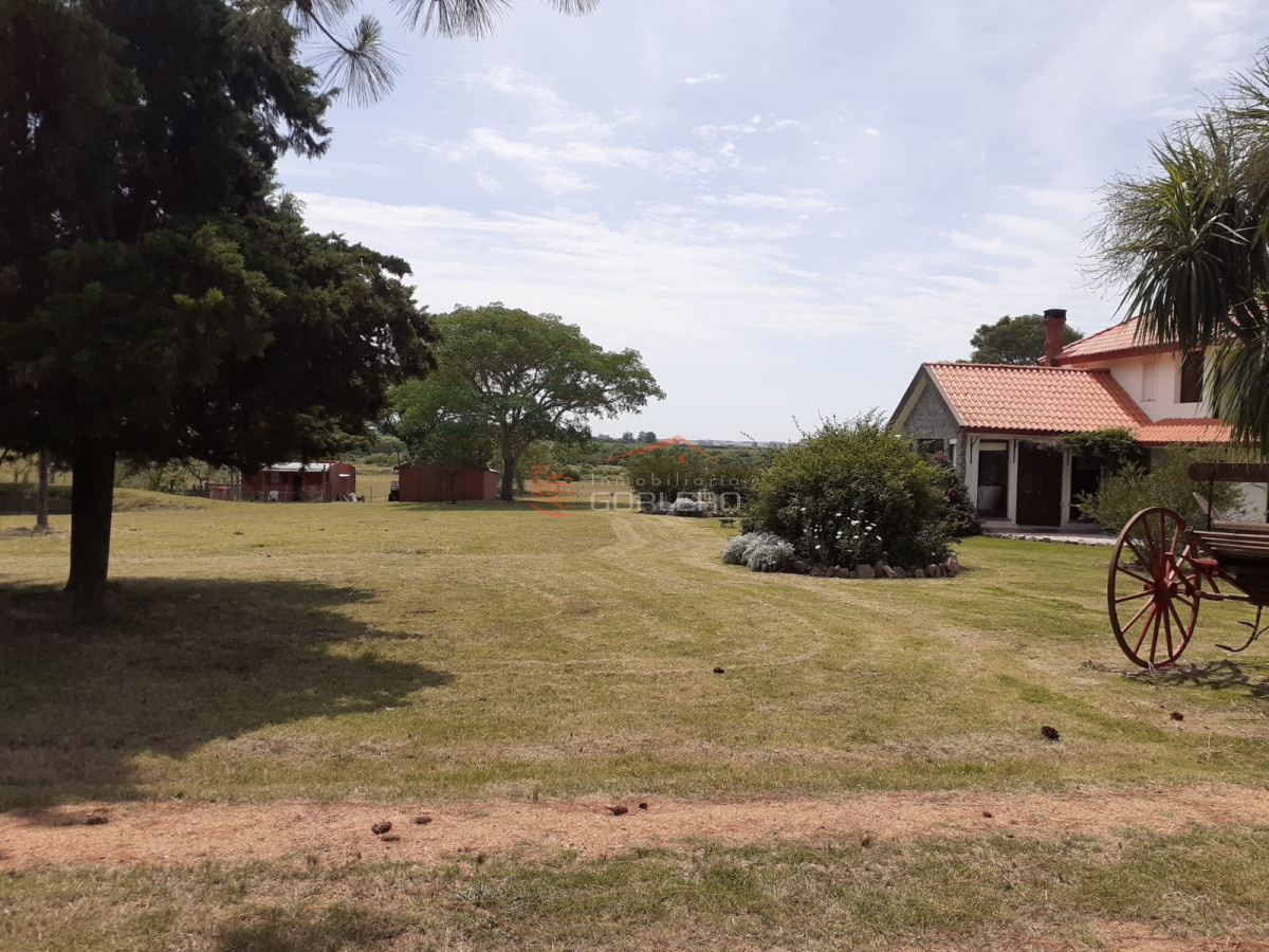 Propiedad - GoPunta - Portal Inmobiliario de Punta del Este - Maldonado