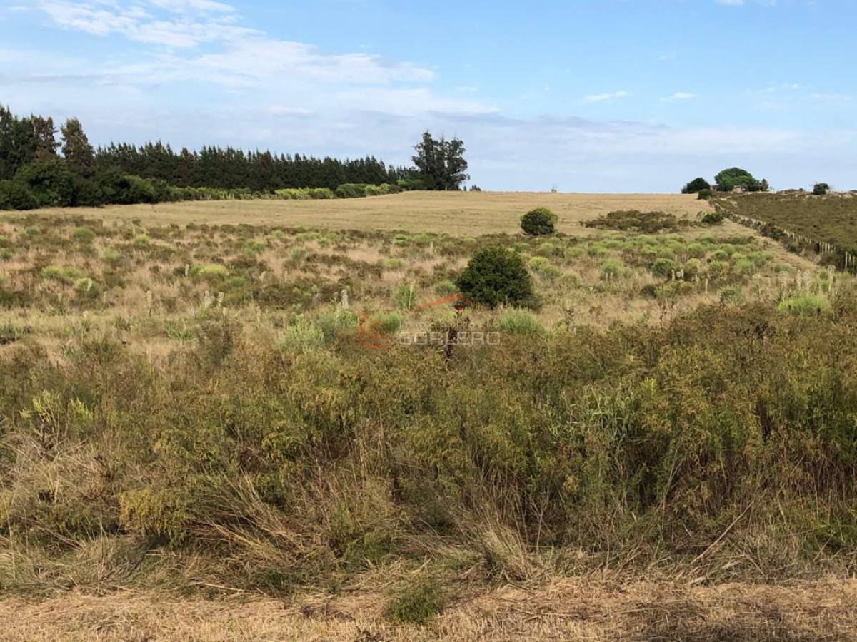 Ruta 39 - GoPunta - Portal Inmobiliario de Punta del Este - Maldonado