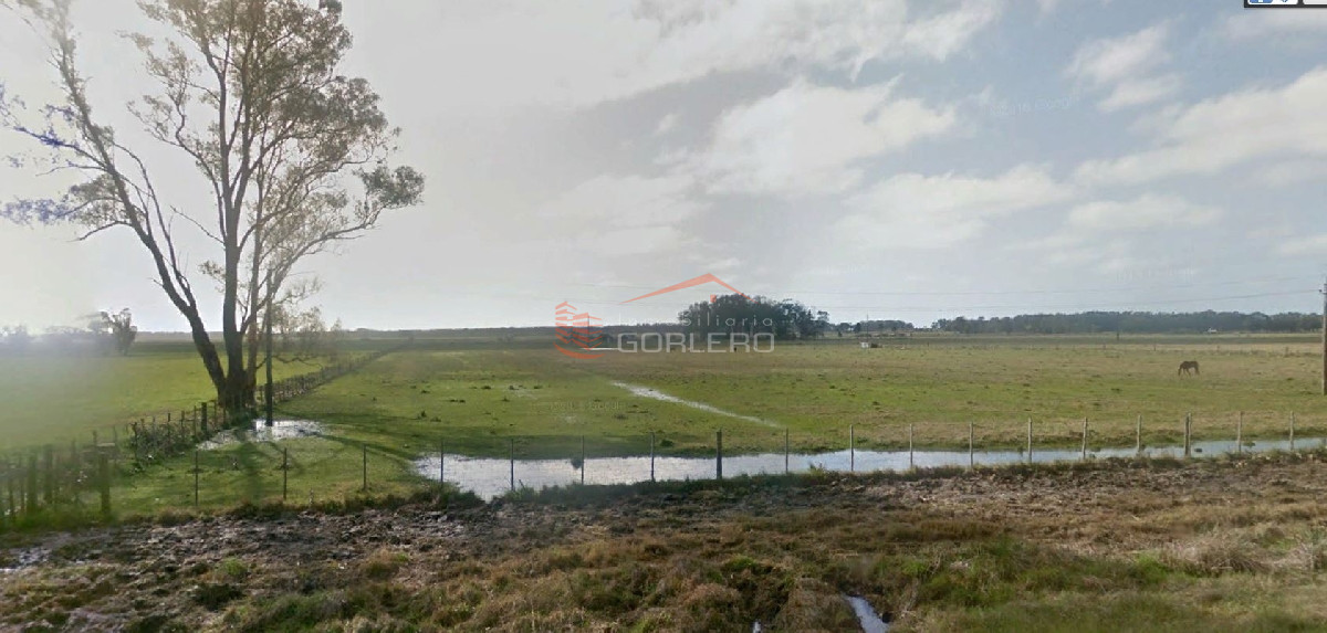 Propiedad - GoPunta - Portal Inmobiliario de Punta del Este - Maldonado