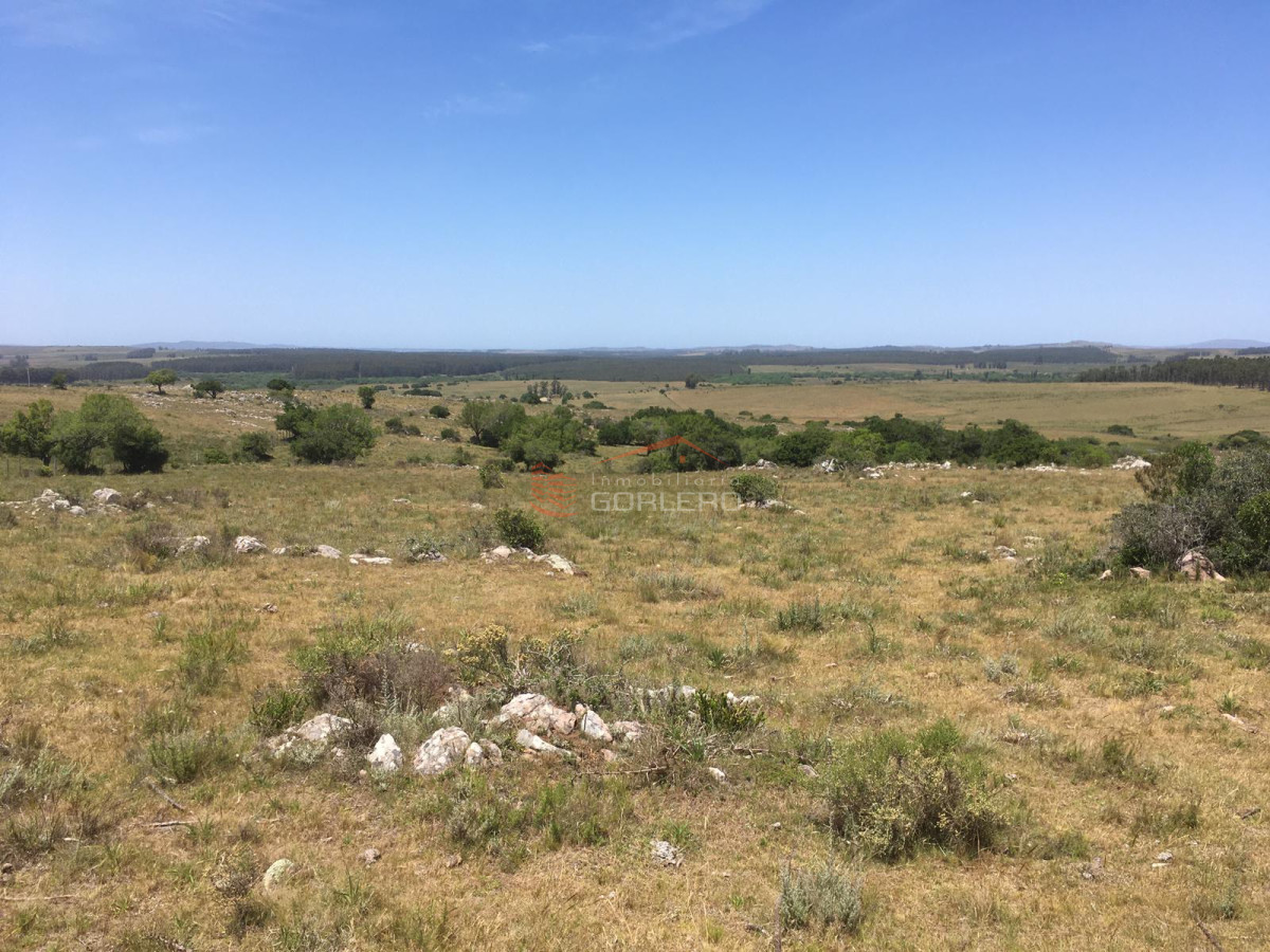 Pueblo Eden - GoPunta - Portal Inmobiliario de Punta del Este - Maldonado