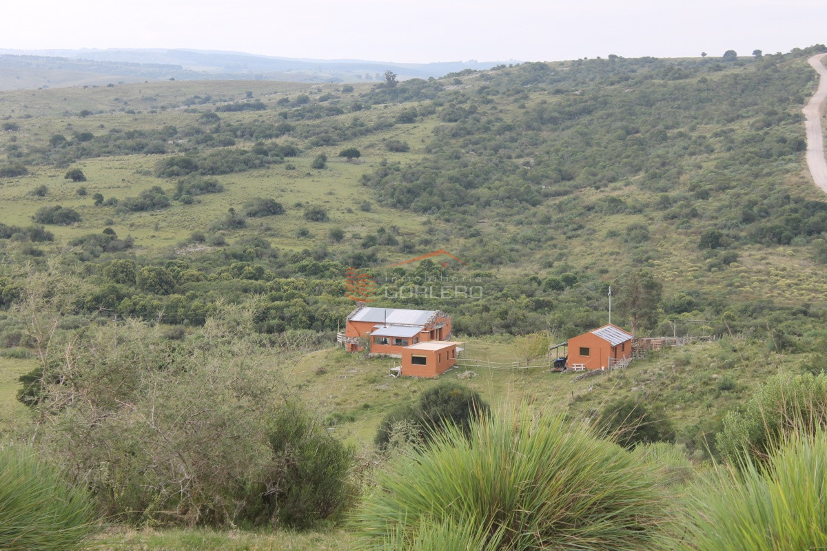 Zona Rural - GoPunta - Portal Inmobiliario de Punta del Este - Maldonado