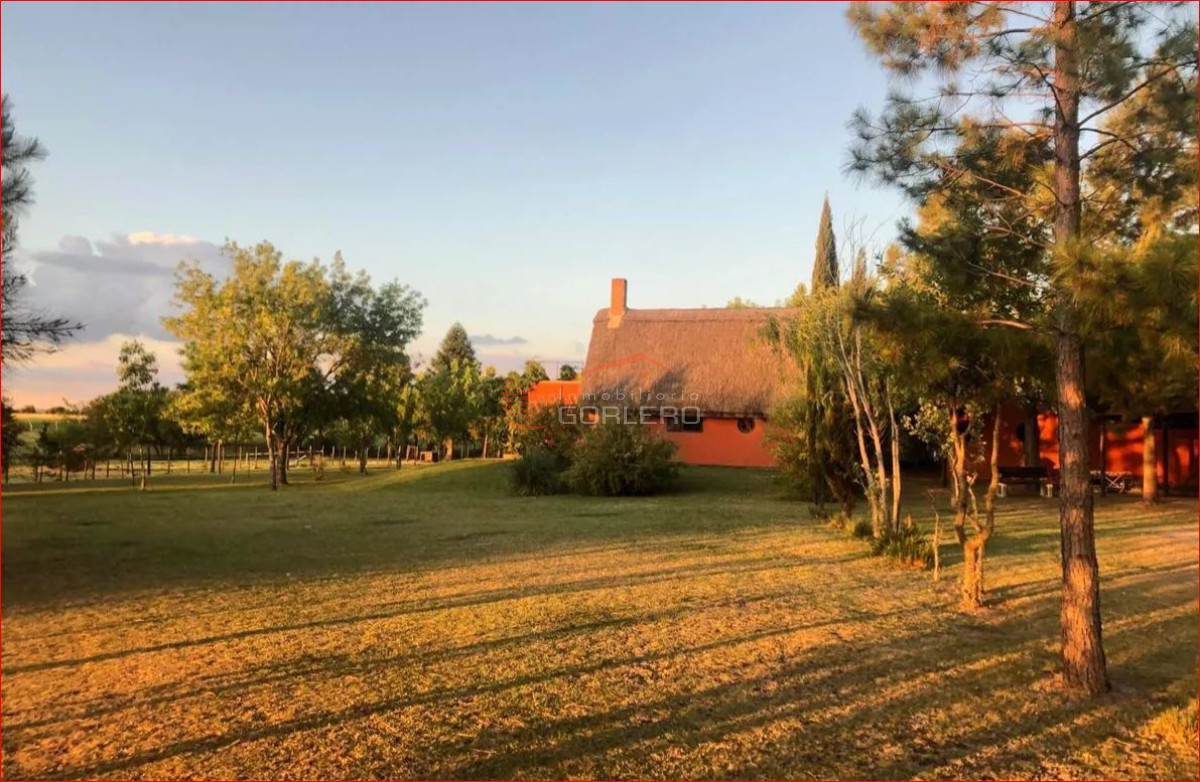 Nueva Helvecia - GoPunta - Portal Inmobiliario de Punta del Este - Maldonado
