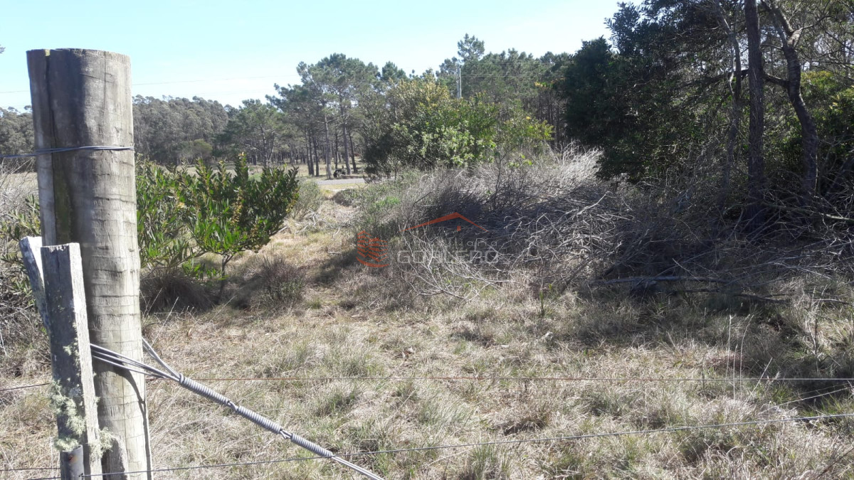 Oceania del Polonio - GoPunta - Portal Inmobiliario de Punta del Este - Maldonado