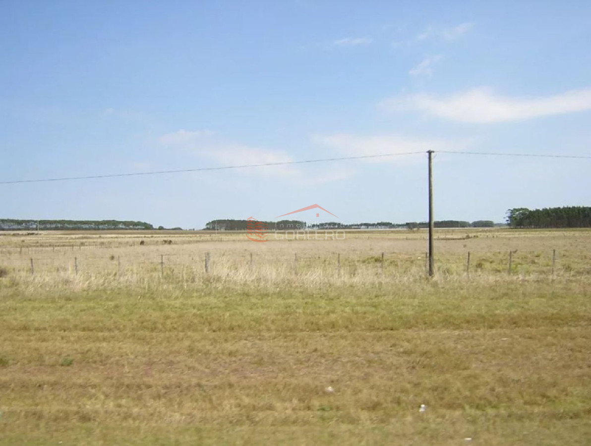 Propiedad - GoPunta - Portal Inmobiliario de Punta del Este - Maldonado