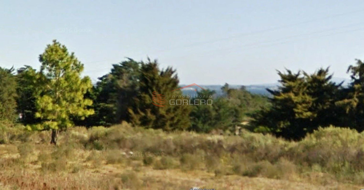 Laguna del Sauce - GoPunta - Portal Inmobiliario de Punta del Este - Maldonado