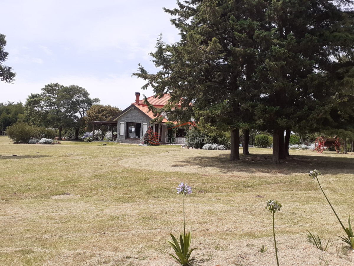Propiedad - GoPunta - Portal Inmobiliario de Punta del Este - Maldonado