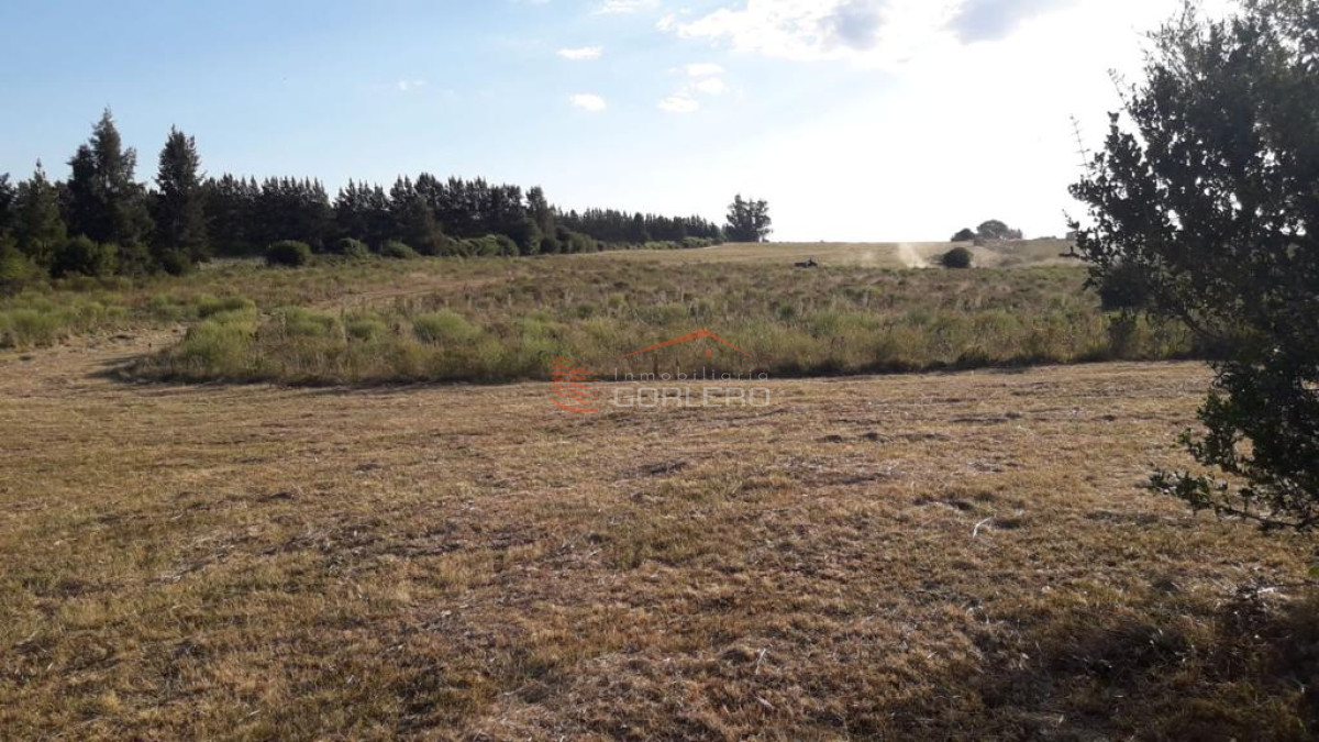 Ruta 39 - GoPunta - Portal Inmobiliario de Punta del Este - Maldonado