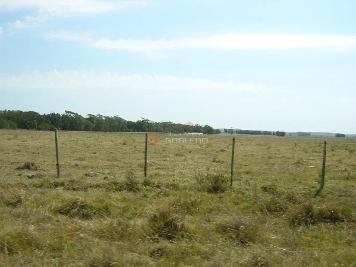 Propiedad - GoPunta - Portal Inmobiliario de Punta del Este - Maldonado