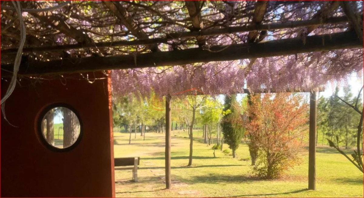 Nueva Helvecia - GoPunta - Portal Inmobiliario de Punta del Este - Maldonado