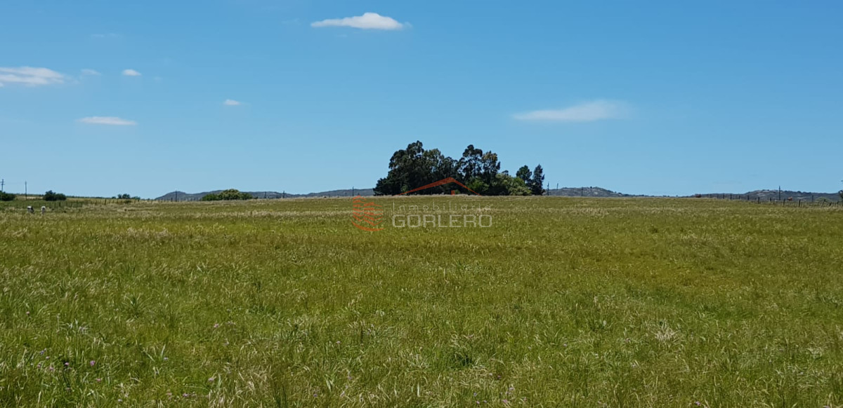 Ruta 39 - GoPunta - Portal Inmobiliario de Punta del Este - Maldonado