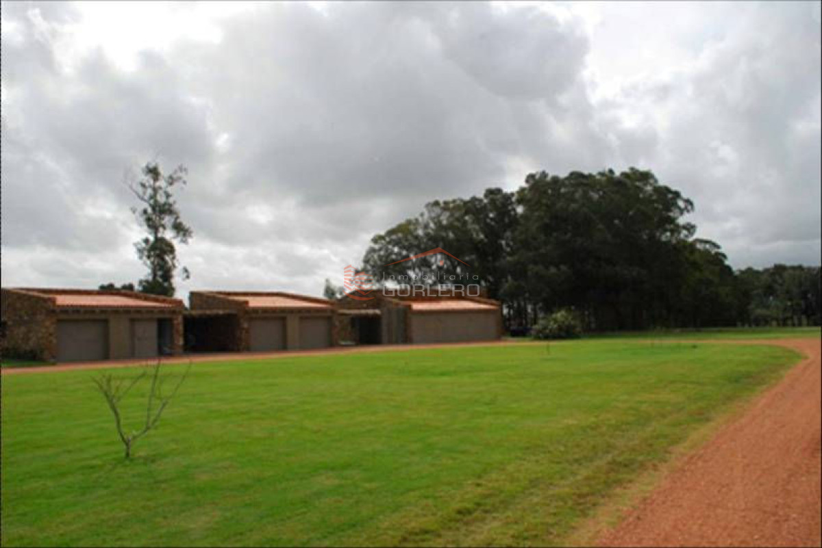 EN VENTA PRECIOSA CHACRA DE 15 HAS EN PUNTA DEL ESTE - GoPunta - Portal Inmobiliario de Punta del Este - Maldonado