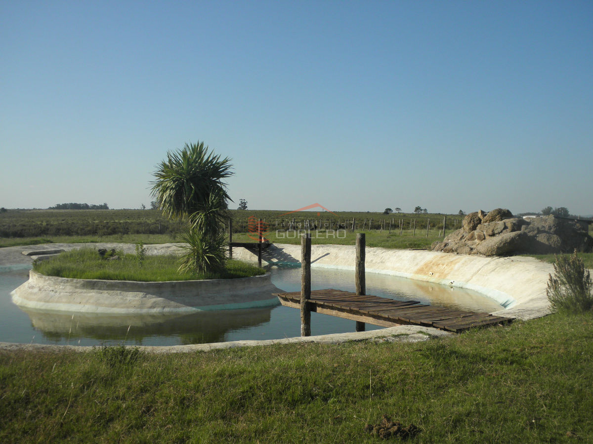Chacra  a la venta  en Uruguay, Interbalnearia Canelones, a 2 km del mar - GoPunta - Portal Inmobiliario de Punta del Este - Maldonado