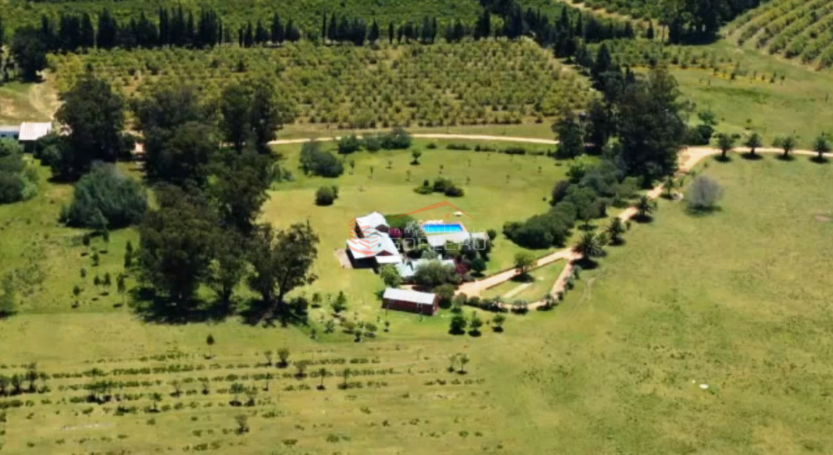 La Pataia - GoPunta - Portal Inmobiliario de Punta del Este - Maldonado