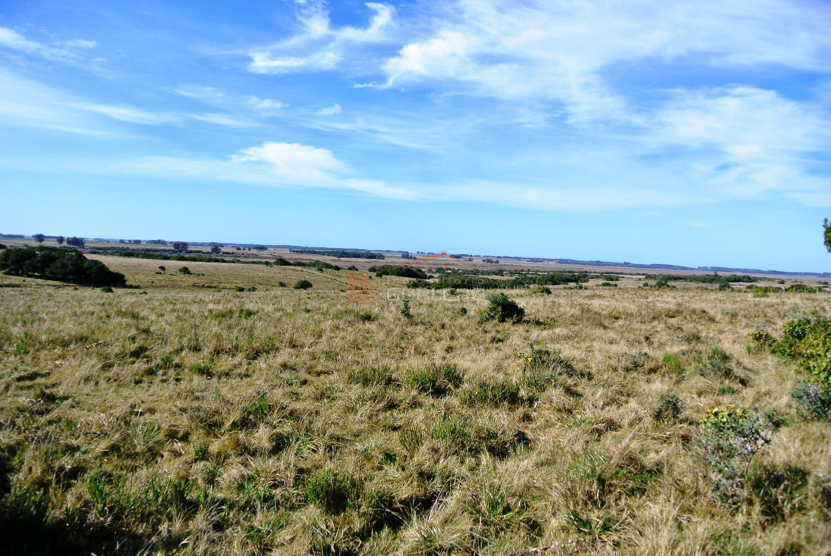 Garzon - GoPunta - Portal Inmobiliario de Punta del Este - Maldonado