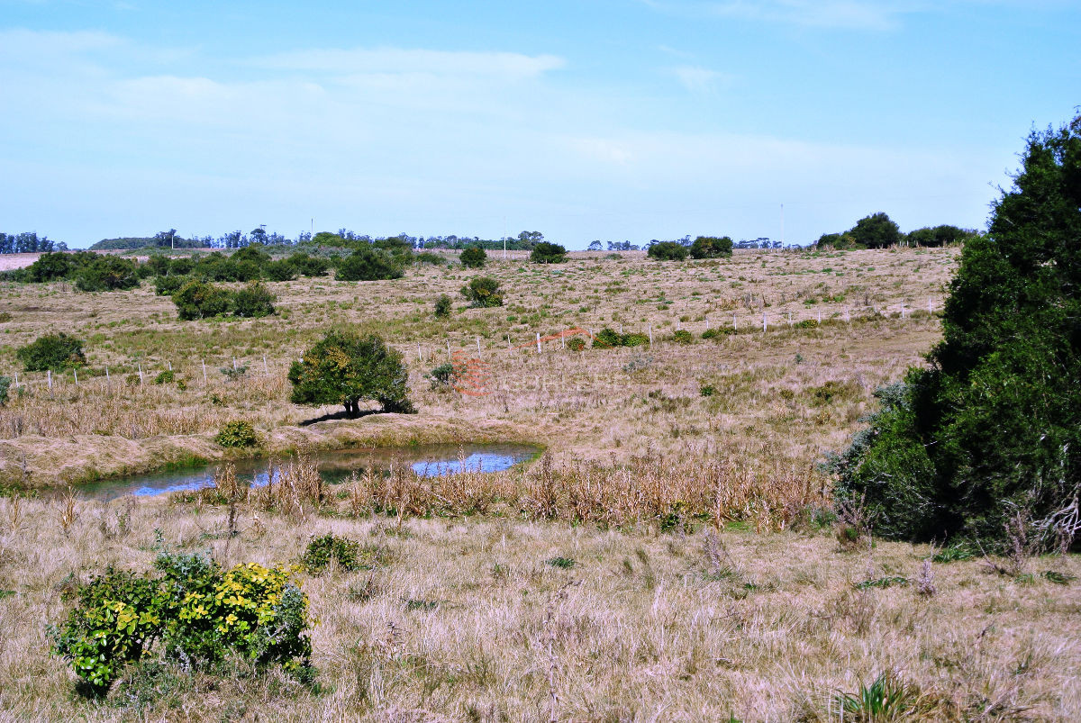 Garzon - GoPunta - Portal Inmobiliario de Punta del Este - Maldonado
