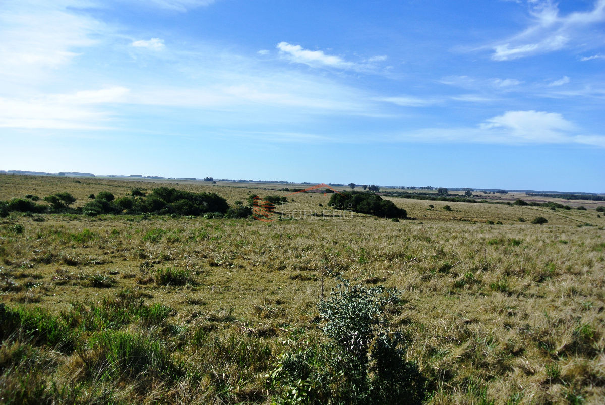 Garzon - GoPunta - Portal Inmobiliario de Punta del Este - Maldonado