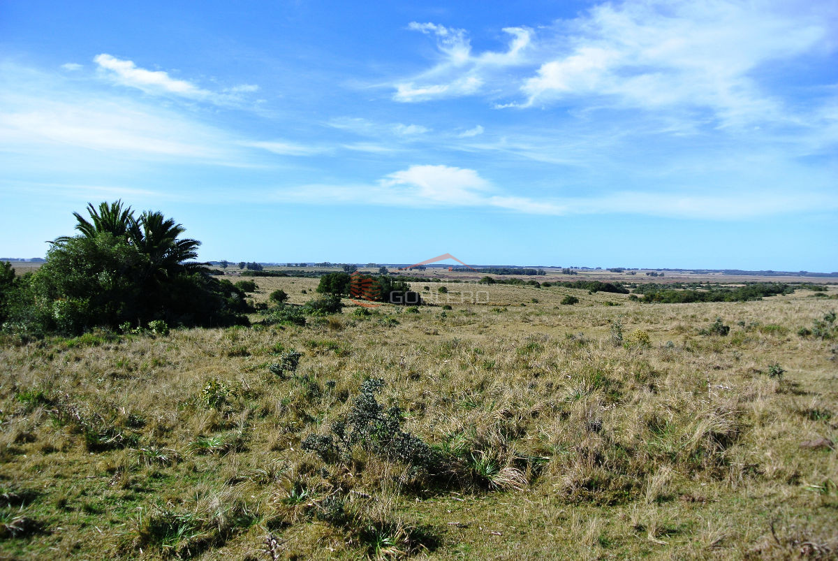 Garzon - GoPunta - Portal Inmobiliario de Punta del Este - Maldonado