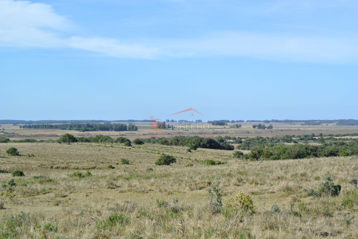 Garzon - GoPunta - Portal Inmobiliario de Punta del Este - Maldonado