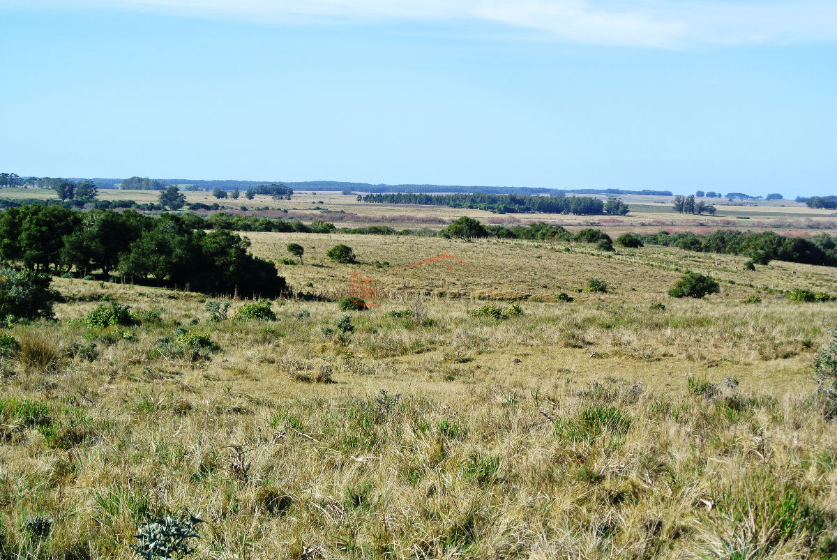 Garzon - GoPunta - Portal Inmobiliario de Punta del Este - Maldonado