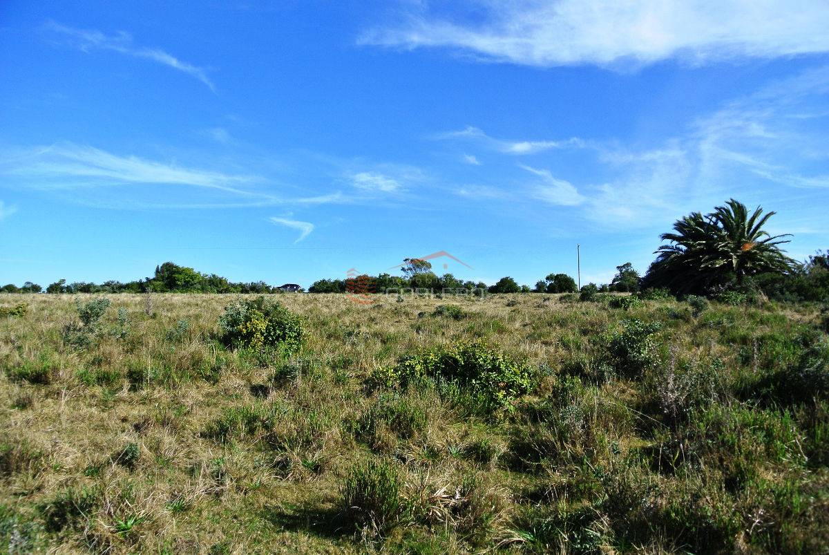 Garzon - GoPunta - Portal Inmobiliario de Punta del Este - Maldonado