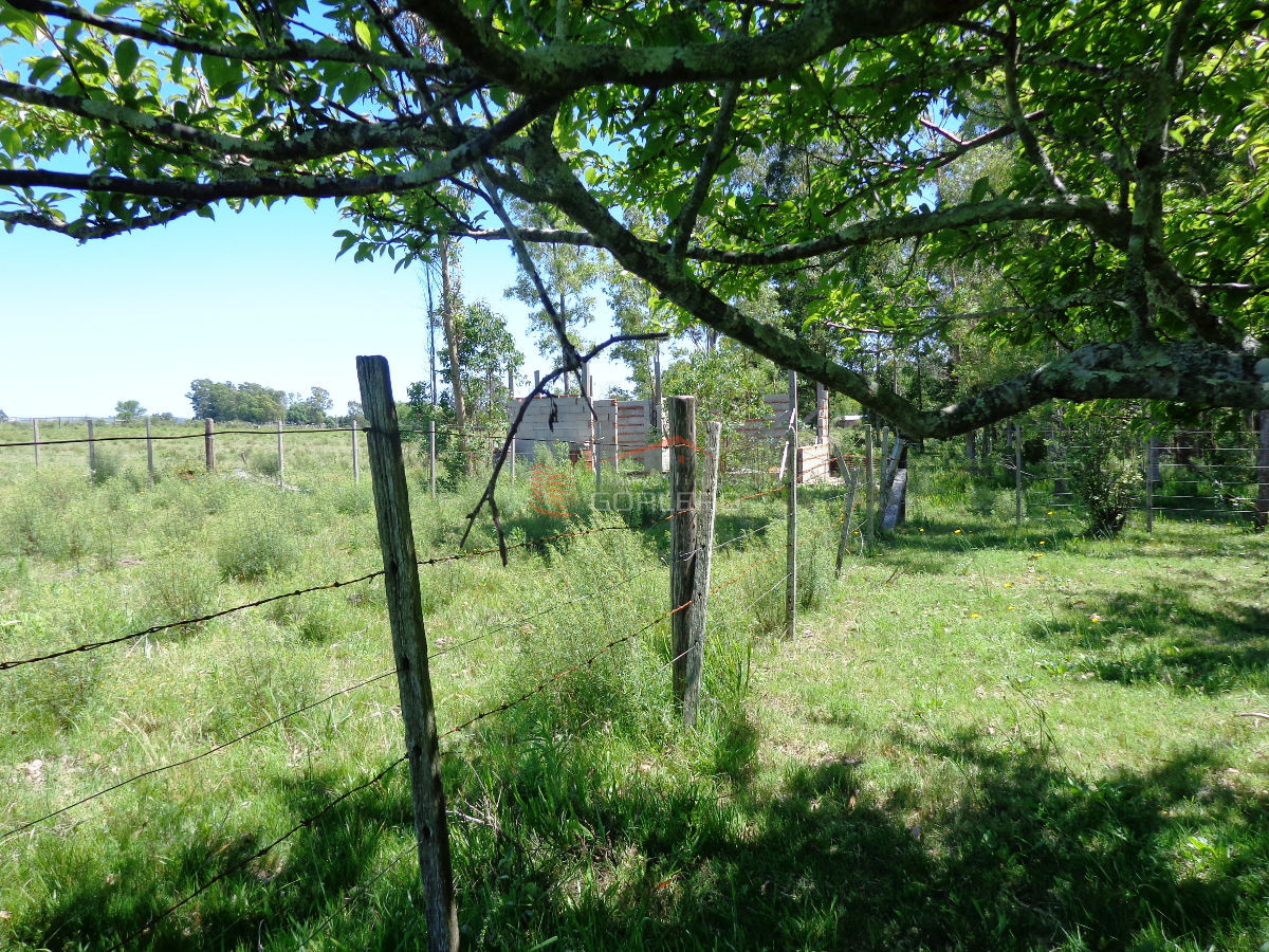 Venta de Chacra en San Carlos, con vivienda con 3 dormitorios - GoPunta - Portal Inmobiliario de Punta del Este - Maldonado