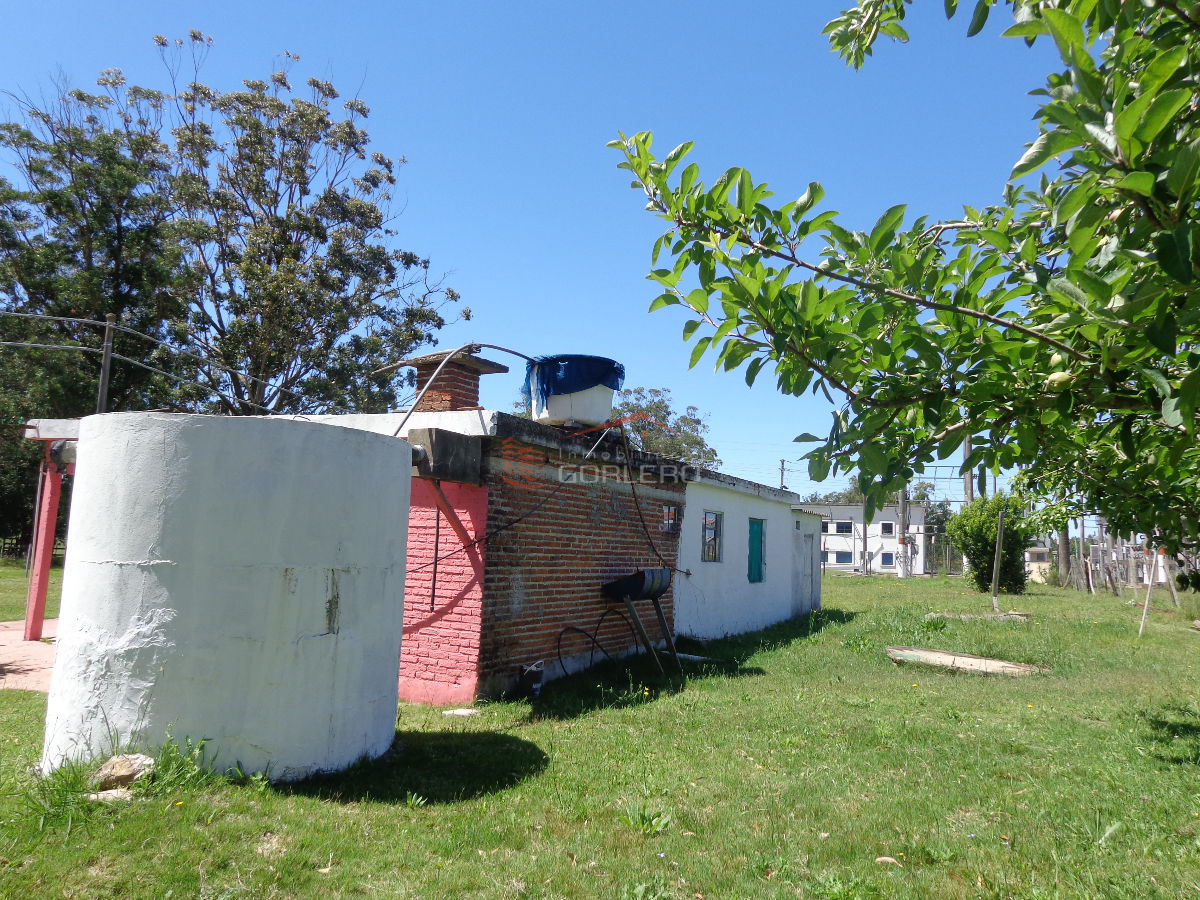 Venta de Chacra en San Carlos, con vivienda con 3 dormitorios - GoPunta - Portal Inmobiliario de Punta del Este - Maldonado