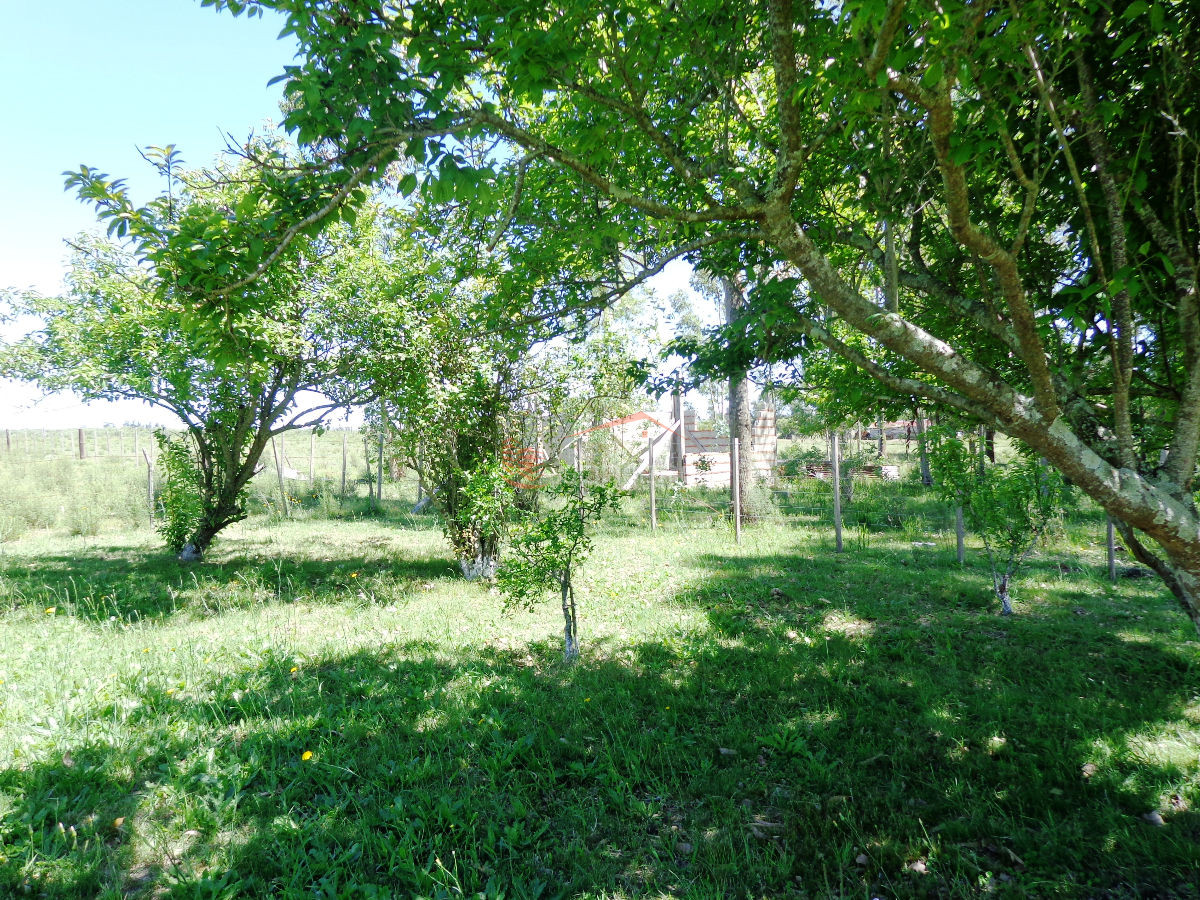 Venta de Chacra en San Carlos, con vivienda con 3 dormitorios - GoPunta - Portal Inmobiliario de Punta del Este - Maldonado