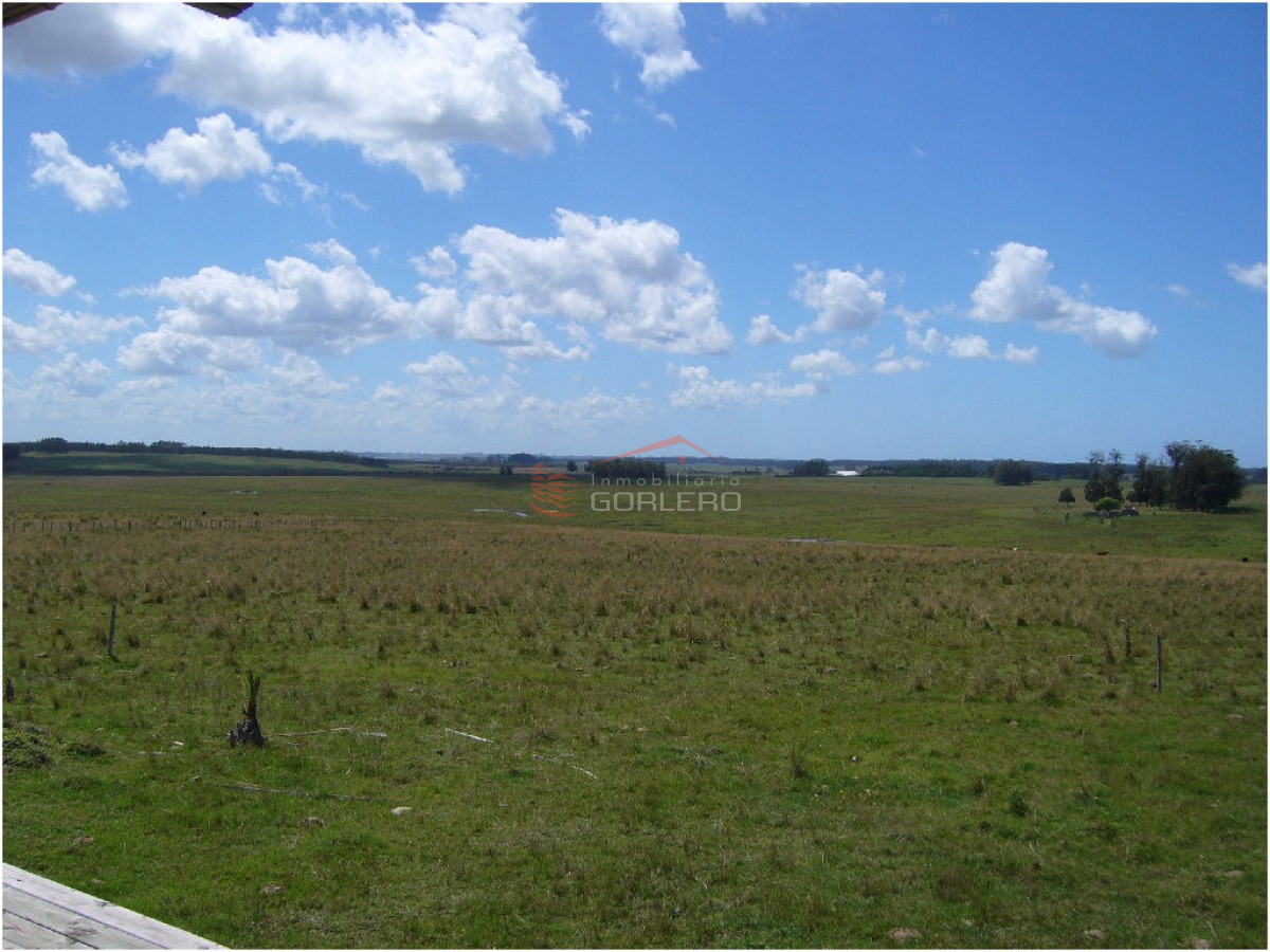 Chacra en VENTA en Punta del Este - GoPunta - Portal Inmobiliario de Punta del Este - Maldonado
