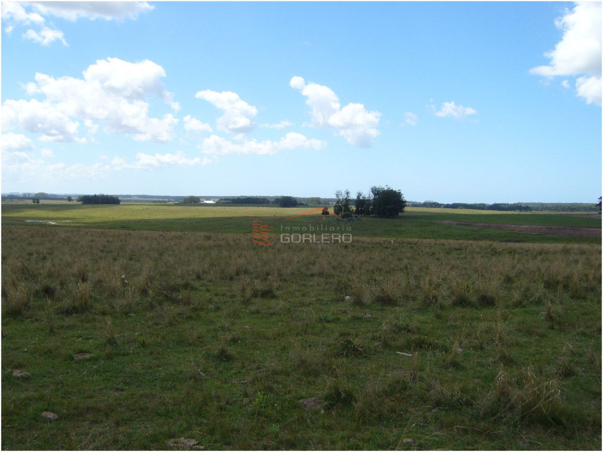 Chacra en VENTA en Punta del Este - GoPunta - Portal Inmobiliario de Punta del Este - Maldonado
