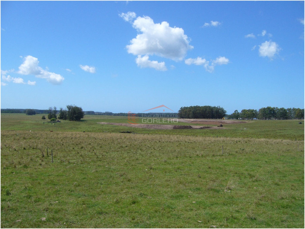 Chacra en VENTA en Punta del Este - GoPunta - Portal Inmobiliario de Punta del Este - Maldonado