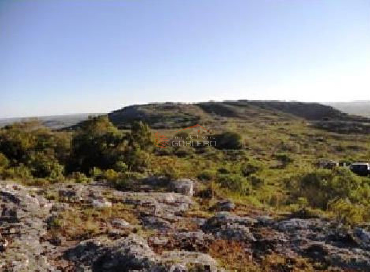 Zona Rural - GoPunta - Portal Inmobiliario de Punta del Este - Maldonado