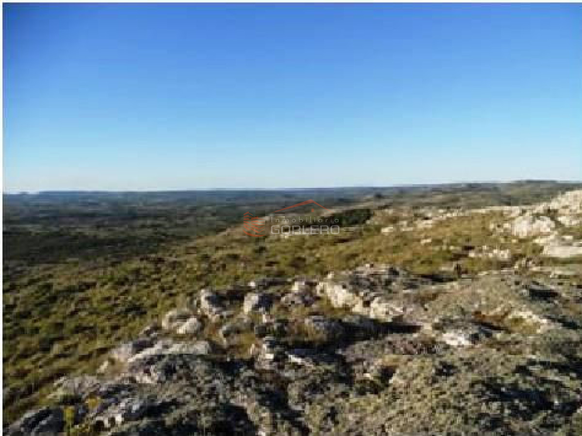 Zona Rural - GoPunta - Portal Inmobiliario de Punta del Este - Maldonado