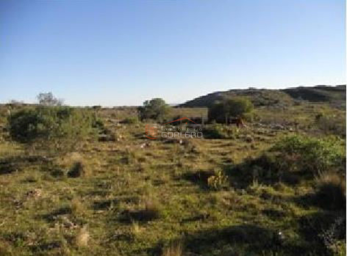 Zona Rural - GoPunta - Portal Inmobiliario de Punta del Este - Maldonado