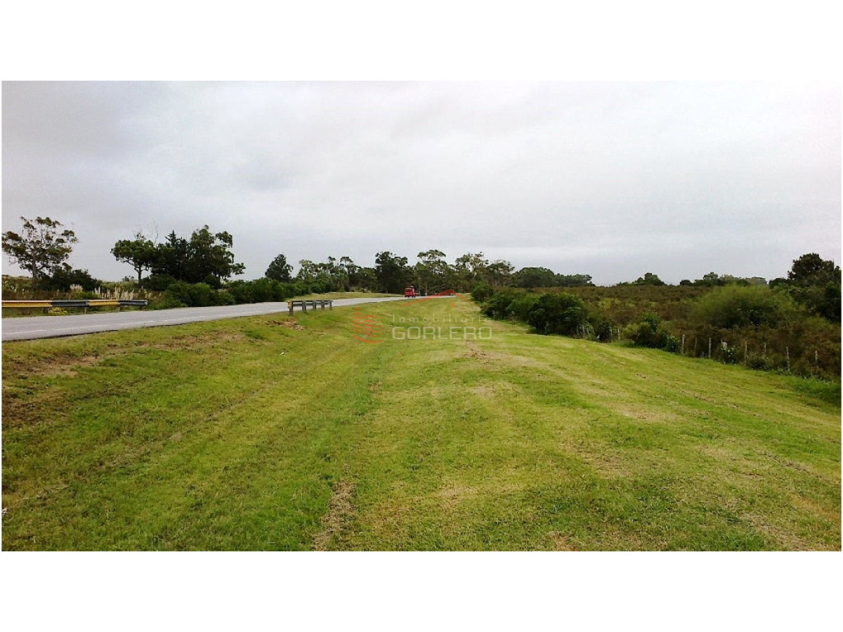 Zona Rural - GoPunta - Portal Inmobiliario de Punta del Este - Maldonado