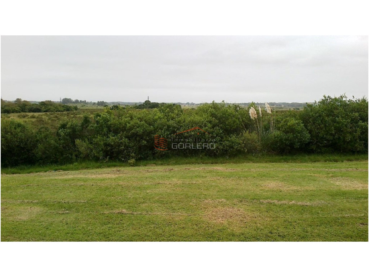 Zona Rural - GoPunta - Portal Inmobiliario de Punta del Este - Maldonado