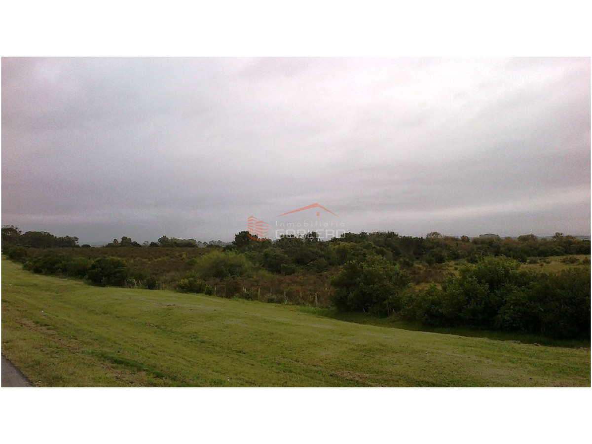 Zona Rural - GoPunta - Portal Inmobiliario de Punta del Este - Maldonado