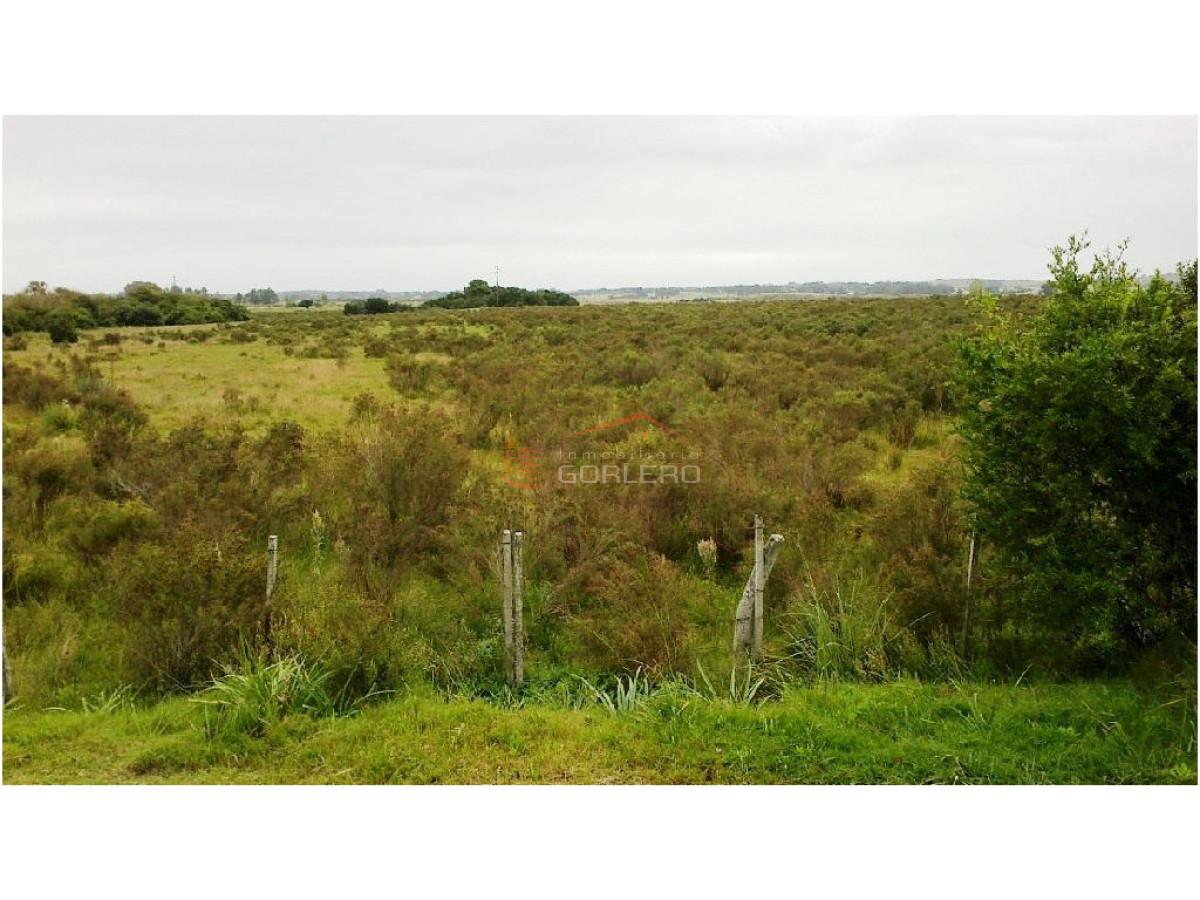 Zona Rural - GoPunta - Portal Inmobiliario de Punta del Este - Maldonado