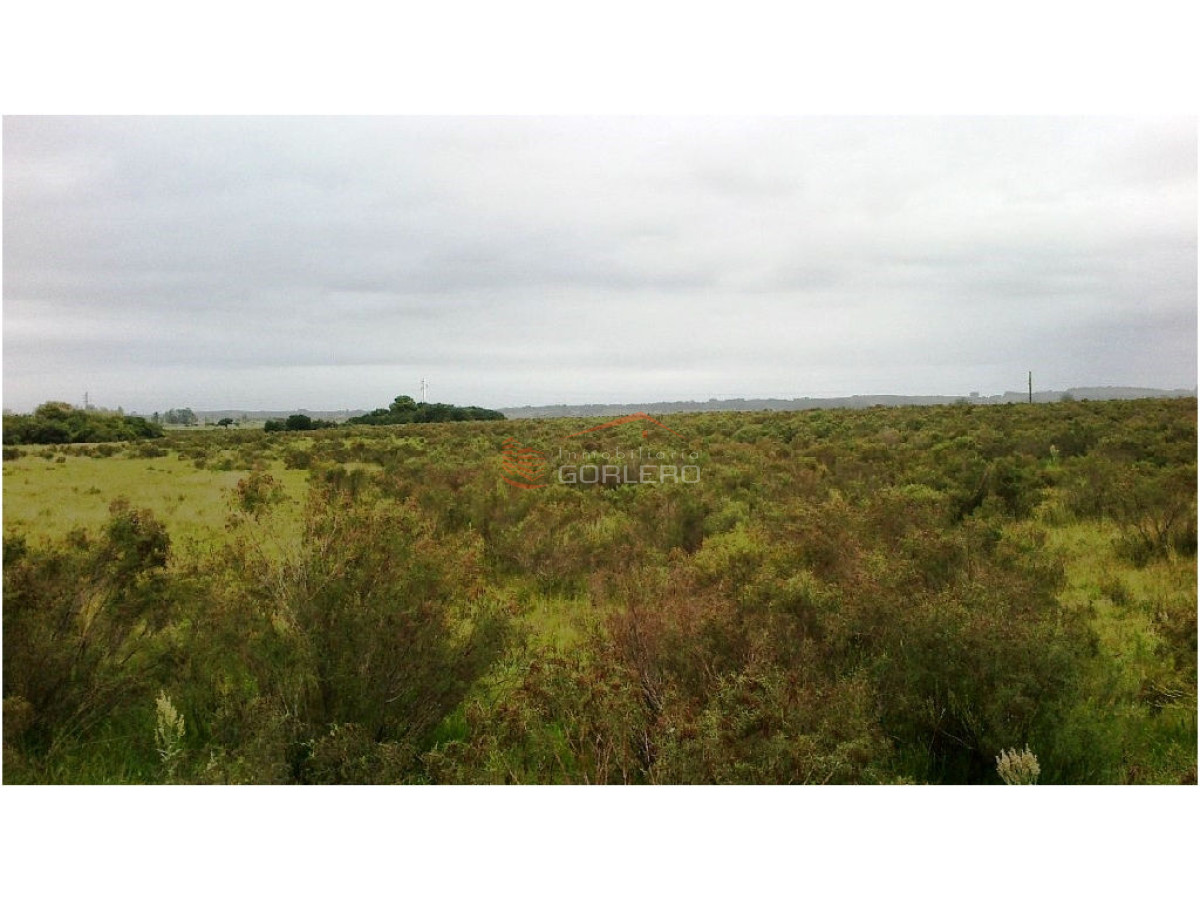 Zona Rural - GoPunta - Portal Inmobiliario de Punta del Este - Maldonado