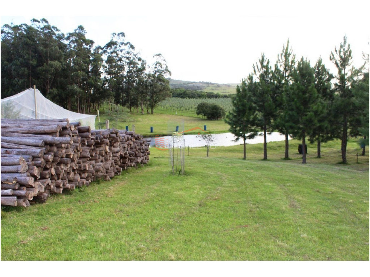 Pueblo Eden - GoPunta - Portal Inmobiliario de Punta del Este - Maldonado