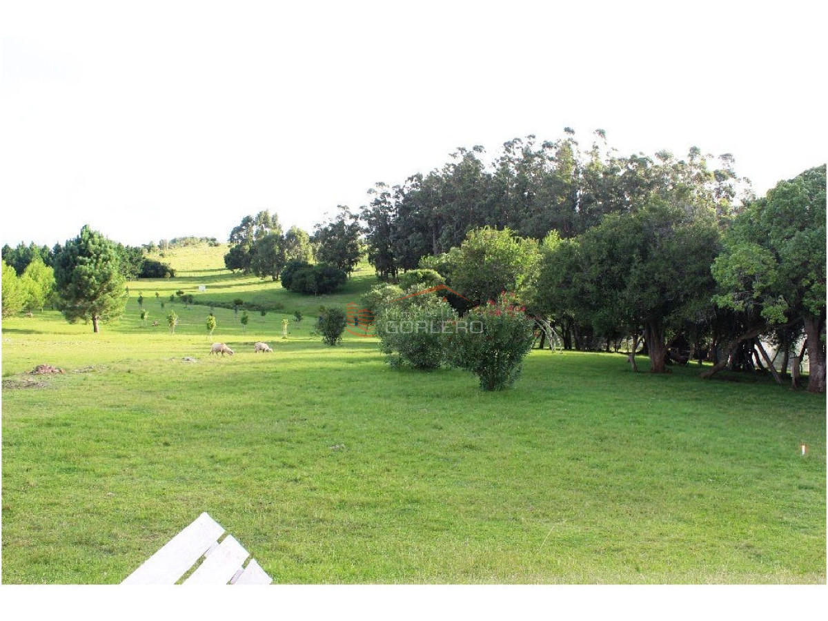 Pueblo Eden - GoPunta - Portal Inmobiliario de Punta del Este - Maldonado